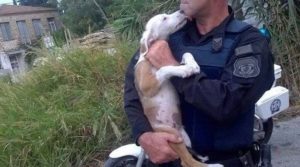 Γόνιμη συνεργασία της ΠΦΠΟ με την Ελληνική Αστυνομία