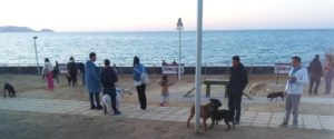 Εγκαινιάστηκε το Πάρκο Σκύλων στο Ηράκλειο