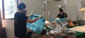 ΠΡΩΤΟΠΟΡΟΣ ΔΡΑΣΗ ΔΗΜΟΥ ΜΙΝΩΑ ΓΙΑ ΣΤΕΙΡΩΣΕΙΣ κλπ ΣΕ ΔΕΣΠΟΖΟΜΕΝΑ ΖΩΑ ΚΤΗΝΟΤΡΟΦΩΝ & ΕΥΠΑΘΩΝ ΟΜΑΔΩΝ