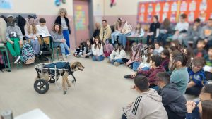 Το πρόγραμμα της ΠΦΠΟ μεσω της ΖΩΦΟΡΟΣ στο 46ο δημοτικό σχολείο Hρακλείου